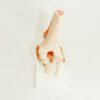 Model Tendon & Muscle Knee - Image 2
