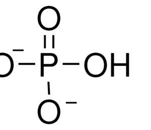 Calcium Hydrogen Phosphate Dihydrate