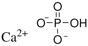 Calcium Phosphate Dibasic Anhydrous