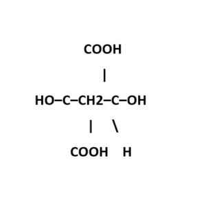 Citric Acid Anhydrous