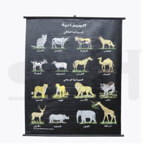 Animals Chart Arabic (Animal Family & Wild Animals)