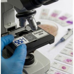 Slide Plant Stomata Open